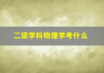 二级学科物理学考什么