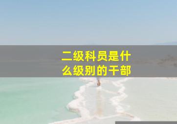 二级科员是什么级别的干部