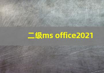 二级ms office2021