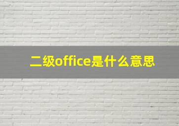 二级office是什么意思