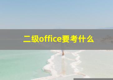 二级office要考什么