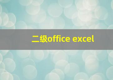 二级office excel