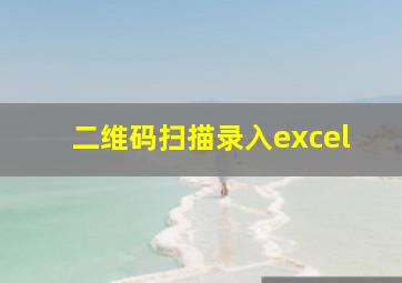 二维码扫描录入excel