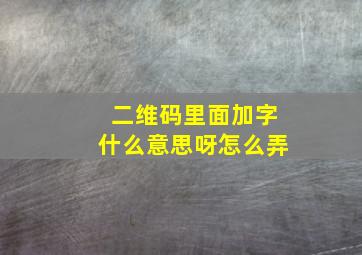 二维码里面加字什么意思呀怎么弄