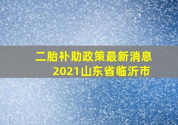 二胎补助政策最新消息2021山东省临沂市