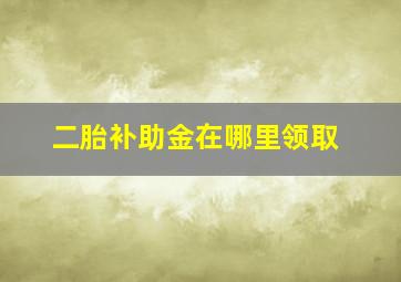 二胎补助金在哪里领取