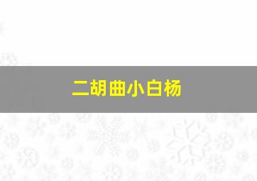 二胡曲小白杨