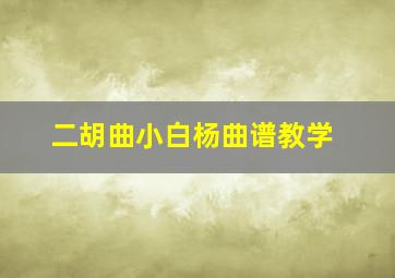 二胡曲小白杨曲谱教学