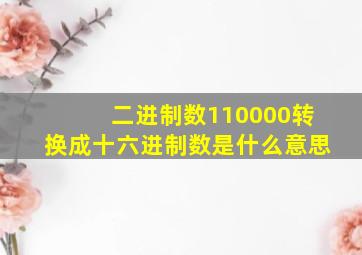 二进制数110000转换成十六进制数是什么意思