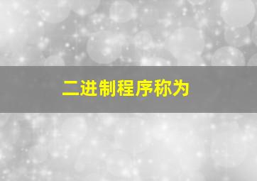 二进制程序称为