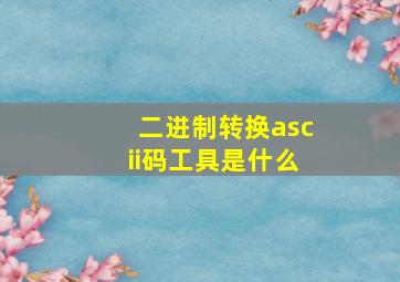 二进制转换ascii码工具是什么