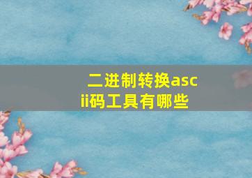 二进制转换ascii码工具有哪些