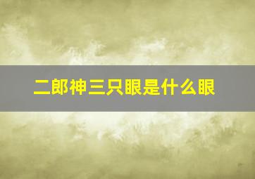 二郎神三只眼是什么眼