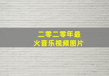 二零二零年最火音乐视频图片