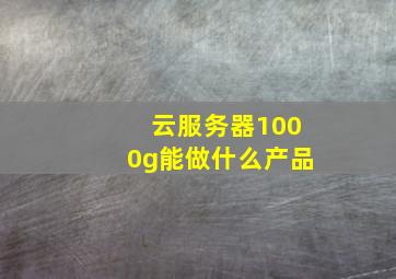 云服务器1000g能做什么产品