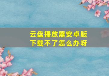 云盘播放器安卓版下载不了怎么办呀