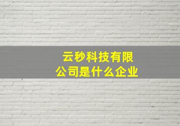 云秒科技有限公司是什么企业