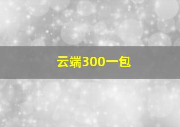 云端300一包