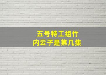 五号特工组竹内云子是第几集