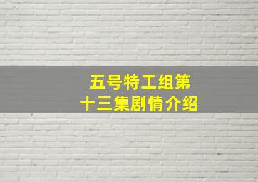 五号特工组第十三集剧情介绍