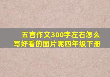 五官作文300字左右怎么写好看的图片呢四年级下册