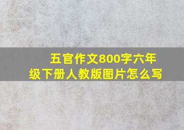 五官作文800字六年级下册人教版图片怎么写