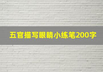 五官描写眼睛小练笔200字