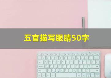 五官描写眼睛50字