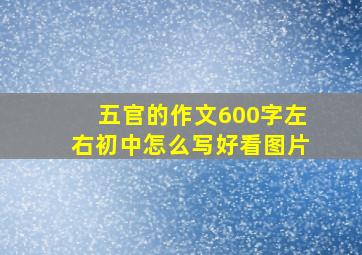 五官的作文600字左右初中怎么写好看图片