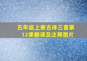 五年级上册古诗三首第12课翻译及注释图片