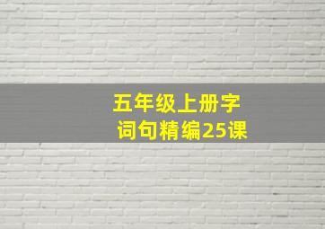 五年级上册字词句精编25课