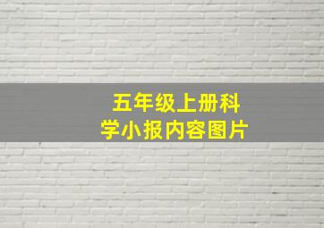 五年级上册科学小报内容图片