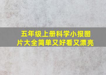 五年级上册科学小报图片大全简单又好看又漂亮