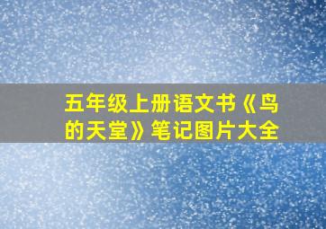 五年级上册语文书《鸟的天堂》笔记图片大全