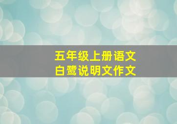 五年级上册语文白鹭说明文作文