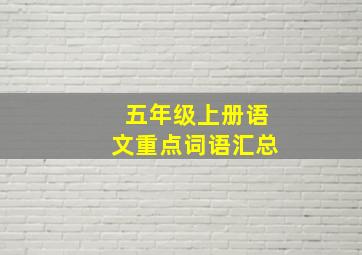 五年级上册语文重点词语汇总