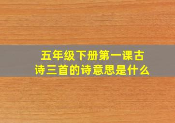 五年级下册第一课古诗三首的诗意思是什么