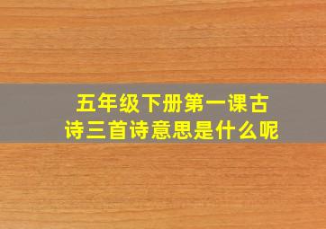 五年级下册第一课古诗三首诗意思是什么呢