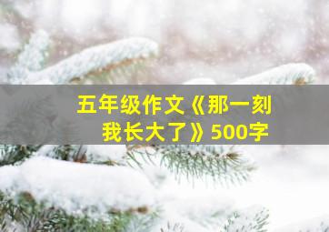 五年级作文《那一刻我长大了》500字