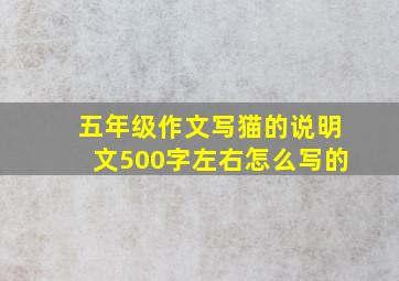 五年级作文写猫的说明文500字左右怎么写的