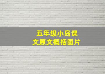 五年级小岛课文原文概括图片