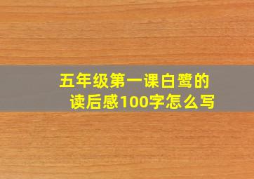 五年级第一课白鹭的读后感100字怎么写