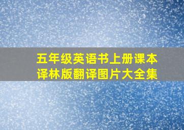 五年级英语书上册课本译林版翻译图片大全集