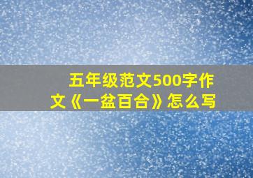 五年级范文500字作文《一盆百合》怎么写