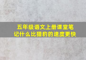 五年级语文上册课堂笔记什么比猎豹的速度更快