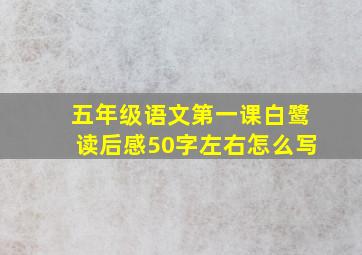 五年级语文第一课白鹭读后感50字左右怎么写