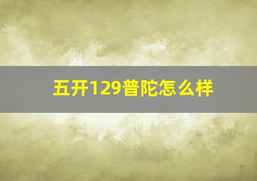 五开129普陀怎么样