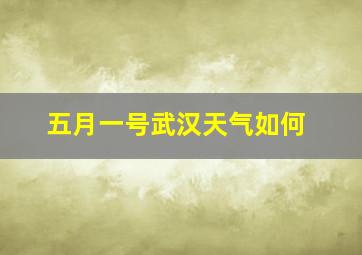 五月一号武汉天气如何