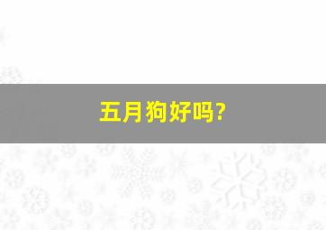 五月狗好吗?