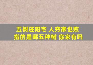 五树进阳宅 人穷家也败 指的是哪五种树 你家有吗